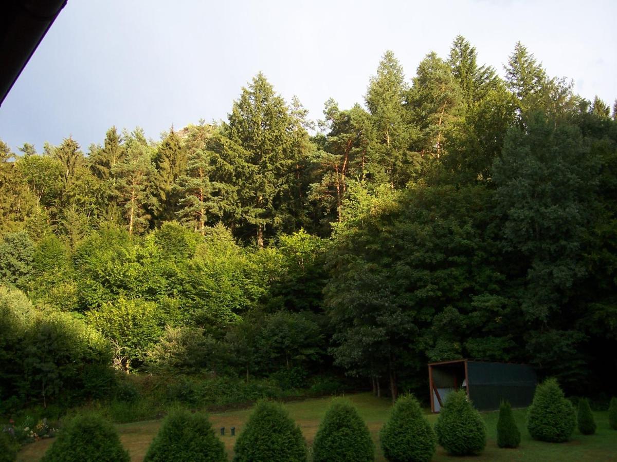 Ferienwohnung Am Pfaffenfels Schonau  Ngoại thất bức ảnh