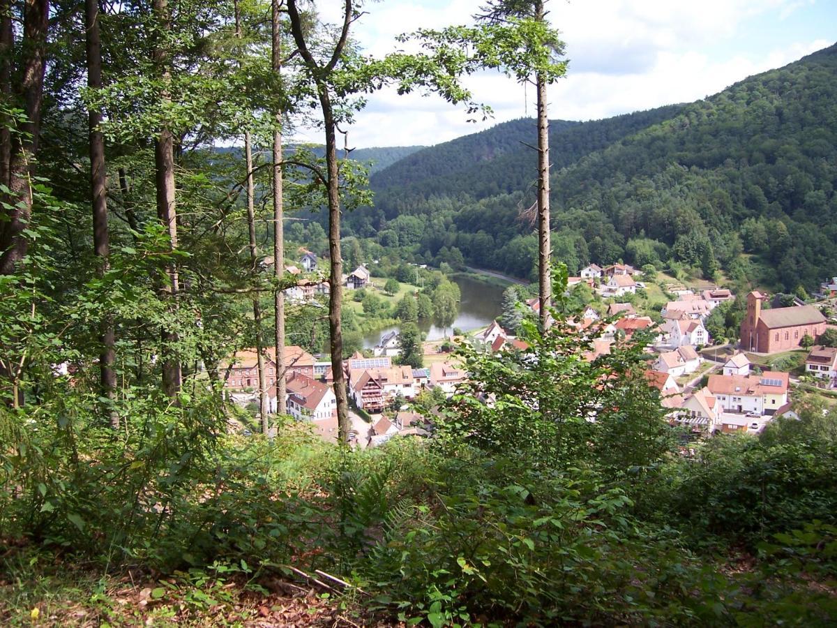 Ferienwohnung Am Pfaffenfels Schonau  Ngoại thất bức ảnh